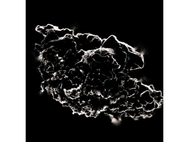 dust-l2021c7